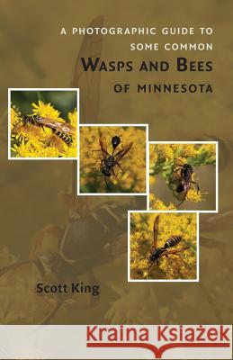 A Photographic Guide to Some Common Wasps and Bees of Minnesota Scott King 9781523208319