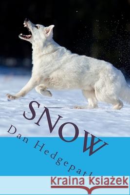 Snow: A Sean Tzu Mystery Thriller MR Dan Hedgepath 9781523221646 Createspace Independent Publishing Platform