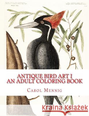 Antique Bird Art I: An Adult Coloring Book Carol Mennig 9781523242993
