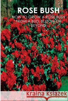 Rose Bush: Learn How To Grow A Rose Bush From A Bud, Bloom or Beyond Hill, Beverly 9781523292837 Createspace Independent Publishing Platform