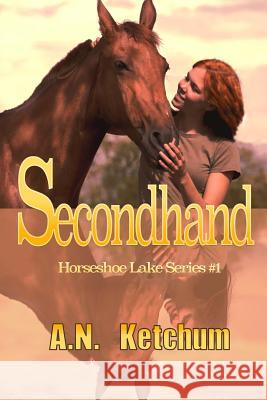 Secondhand MS a. N. Ketchum 9781523377404 Createspace Independent Publishing Platform