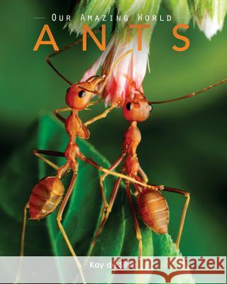 Ants: Amazing Pictures & Fun Facts on Animals in Nature Kay D 9781523417841 Createspace Independent Publishing Platform