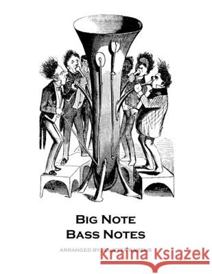 Big Note Bass Notes: for any instrument Rabens, Julietta Anne 9781523428847