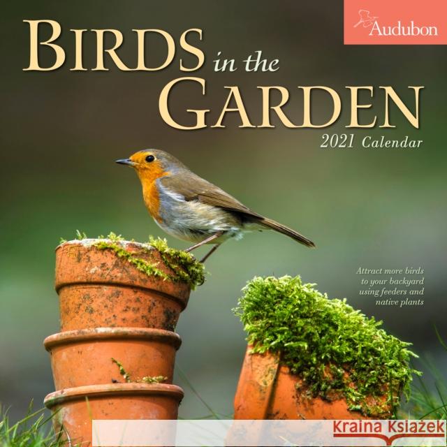 Audubon Birds In The Garden Wall Calendar 2021 National Audubon Society 9781523508709 MELIA CALENDARS 2021