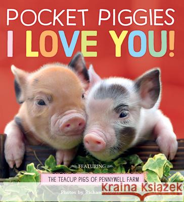 Pocket Piggies: I Love You! Austin, Richard 9781523511167 Workman Publishing