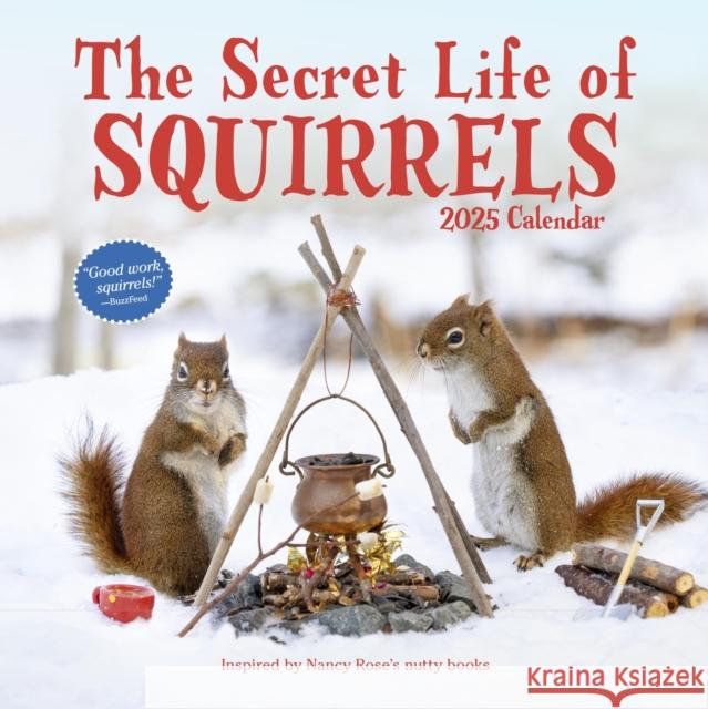 The Secret Life of Squirrels Wall Calendar 2025 Nancy Rose Workman Calendars 9781523524518 Workman Publishing