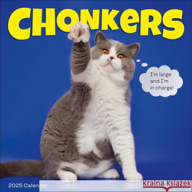 Chonkers Wall Calendar 2025: A Year of Cats Large and In Charge Workman Calendars 9781523524723 Workman Publishing