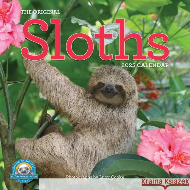 Original Sloths Wall Calendar 2025: The Ultimate Experts at Slowing Down Lucy Cooke Workman Calendars 9781523524822 Workman Publishing