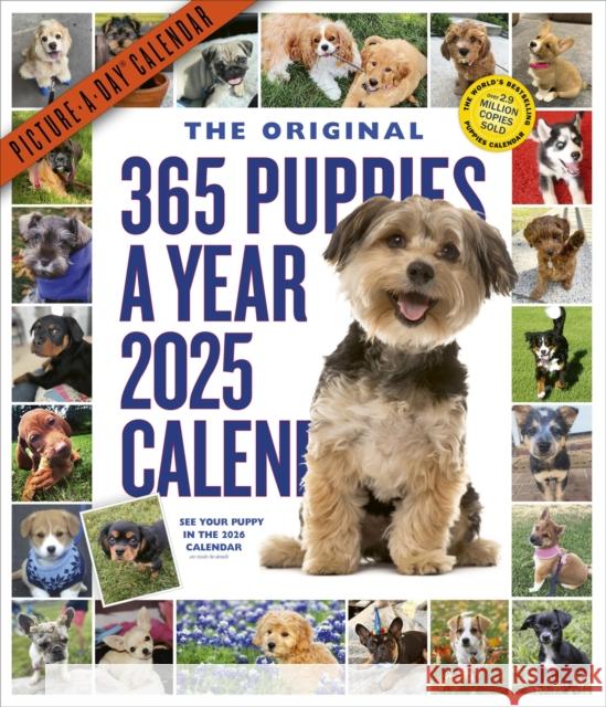 365 Puppies-A-Year Picture-A-Day® Wall Calendar 2025 Workman Calendars 9781523524914 Workman Publishing