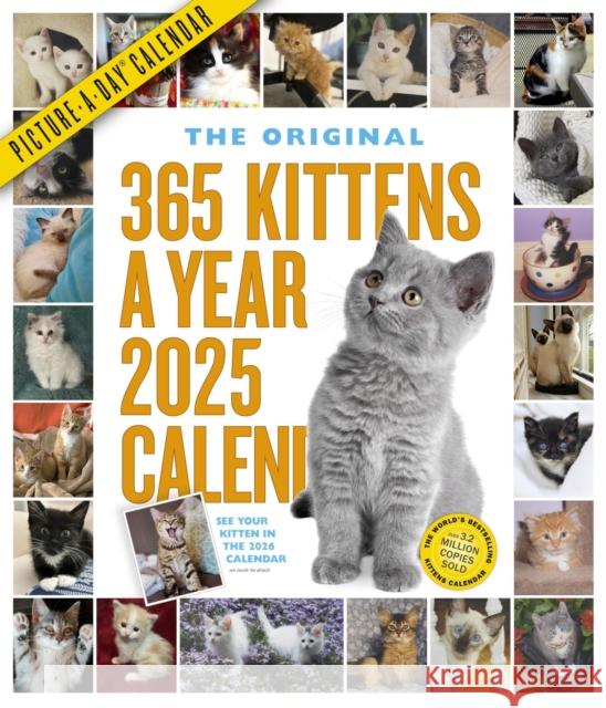 365 Kittens-A-Year Picture-A-Day® Wall Calendar 2025 Workman Calendars 9781523525218 Workman Publishing