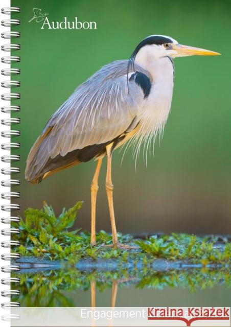 Audubon Engagement Calendar 2025: A Tribute to the Wilderness and Its Spectacular Landscapes National Audubon Society                 Workman Calendars 9781523526123