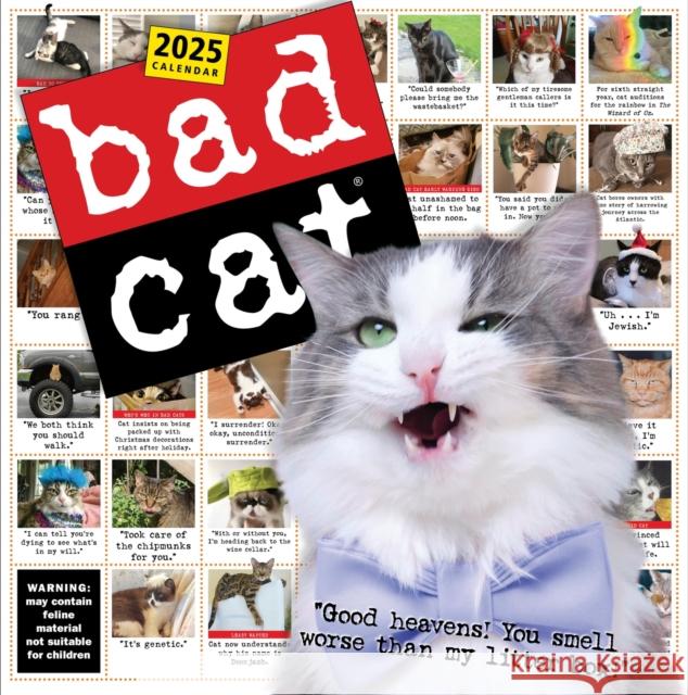 Bad Cat Wall Calendar 2025: Celebrating the Misfits of the Feline World Harry Prichett Rob Battles Richard D. Rosen 9781523526321 Workman Publishing