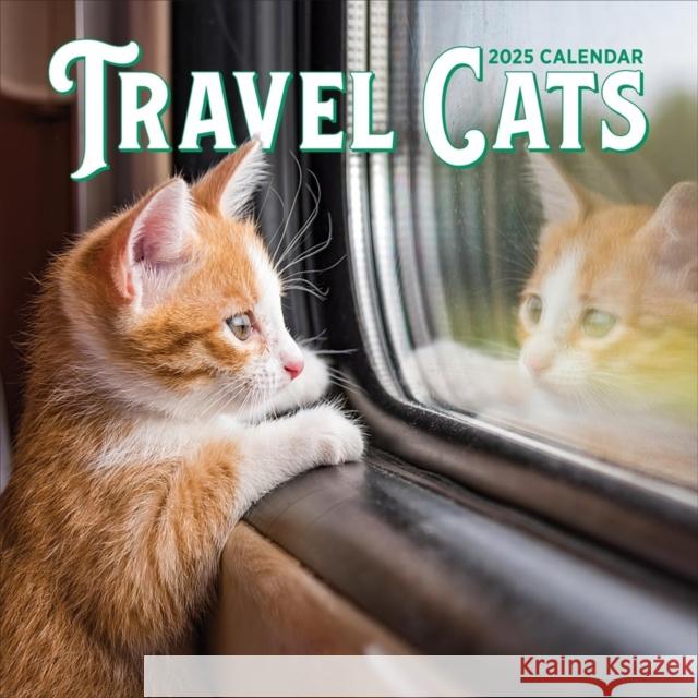 Travel Cats Wall Calendar 2025 Workman Calendars 9781523526437 Workman Publishing