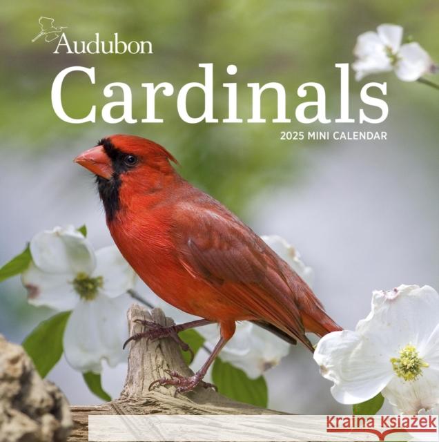 Audubon Cardinals Mini Wall Calendar 2025 National Audubon Society                 Workman Calendars 9781523526574