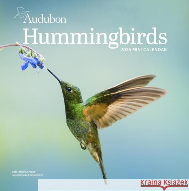 Audubon Hummingbirds Mini Wall Calendar 2025 National Audubon Society                 Workman Calendars 9781523526611 Workman Publishing