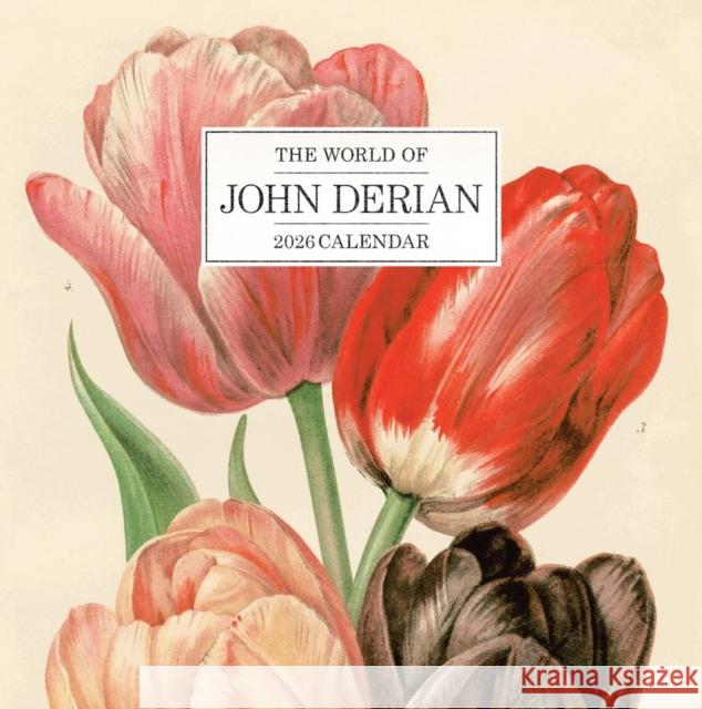 World of John Derian Wall Calendar 2026 Workman Calendars 9781523531608