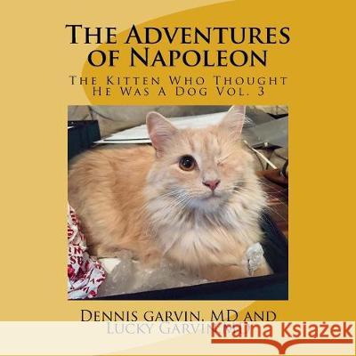 The Adventures of Napoleon: The Kitten Who Thought He Was A Dog Dennis Garvi Lucky Garvi 9781523648580 Createspace Independent Publishing Platform