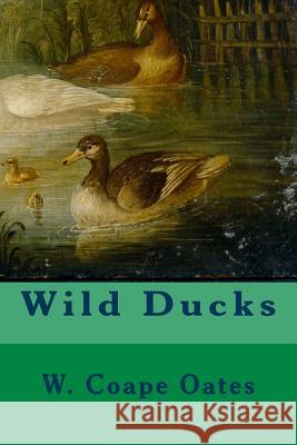 Wild Ducks W. Coape Oates 9781523855278 Createspace Independent Publishing Platform