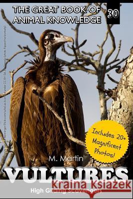 Vultures: High Gliding Scavengers M. Martin 9781523947966 Createspace Independent Publishing Platform