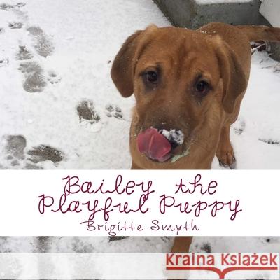 Bailey The Playful Puppy Picture Book Brigitte Smyth 9781523953547