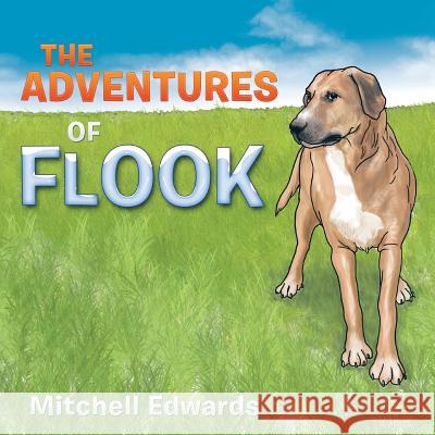 The Adventures of Flook Mitchell Edwards 9781524515416 Xlibris