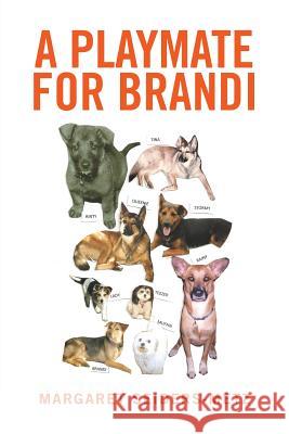 A Playmate for Brandi Margaret Seiders-Metz 9781524572532 Xlibris
