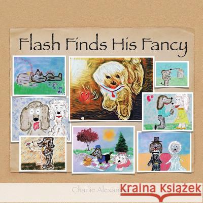 Flash Finds His Fancy Charlie Alexander 9781524589851