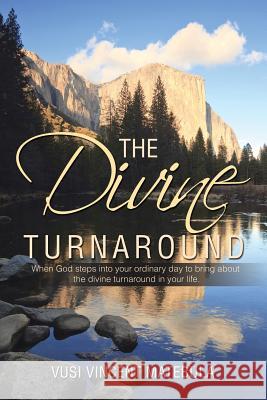 The Divine Turnaround Vusi Vincent Matebula 9781524597481 Xlibris