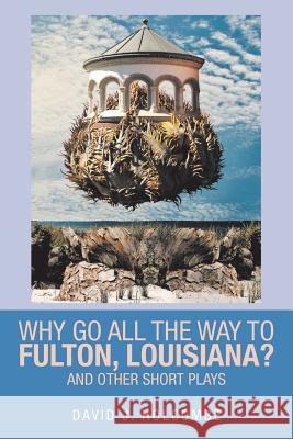 Why Go All the Way to Fulton, Louisiana?: And Other Short Plays David Holcombe 9781524617776