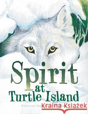 Spirit at Turtle Island D N Bishop 9781524621599 Authorhouse