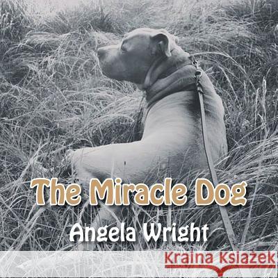 The Miracle Dog Angela Wright (University of Stirling) 9781524625818