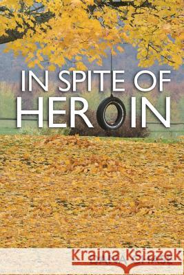In Spite of Heroin Dana Chase 9781524628031 Authorhouse
