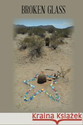 Broken Glass Suzie Marcum Cecil 9781524642044 Authorhouse