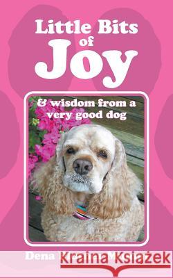 Little Bits of Joy Dena Mumm 9781524691295