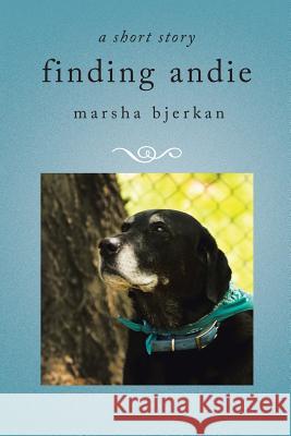 finding andie Marsha Bjerkan 9781524697594 Authorhouse