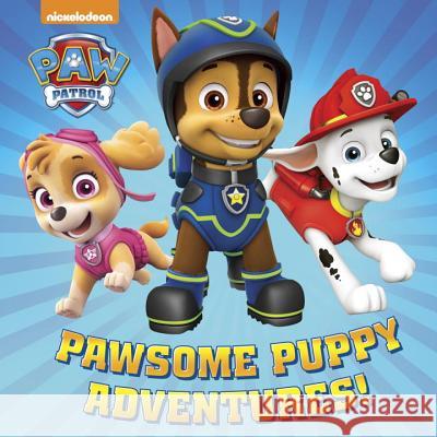 Pawsome Puppy Adventures! (PAW Patrol) Random House, Random House 9781524714383 Random House USA Inc