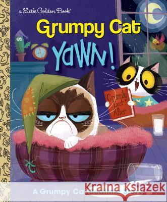 Yawn! a Grumpy Cat Bedtime Story (Grumpy Cat) Steve Foxe Golden Books 9781524720551 Golden Books