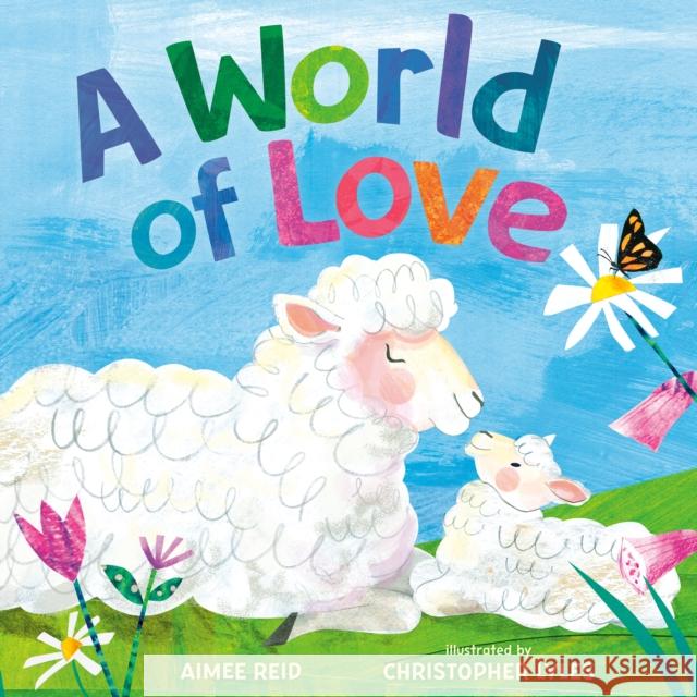 A World of Love Aimee Elizabeth Reid Christopher Lyles 9781524739812 Nancy Paulsen Books