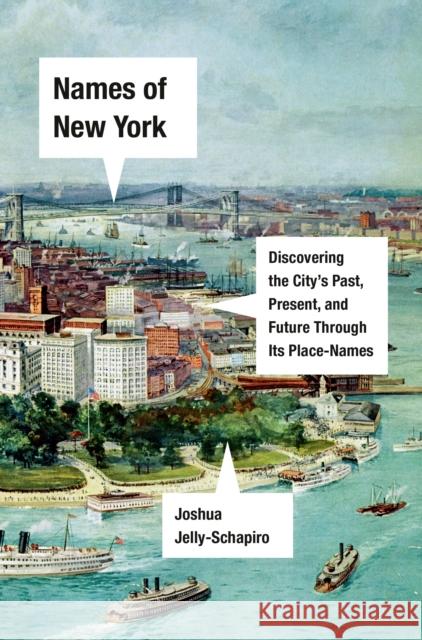 Names of New York: Discovering the City's Past, Present, and Future Through Its Place-Names Jelly-Schapiro, Joshua 9781524748920 Pantheon Books
