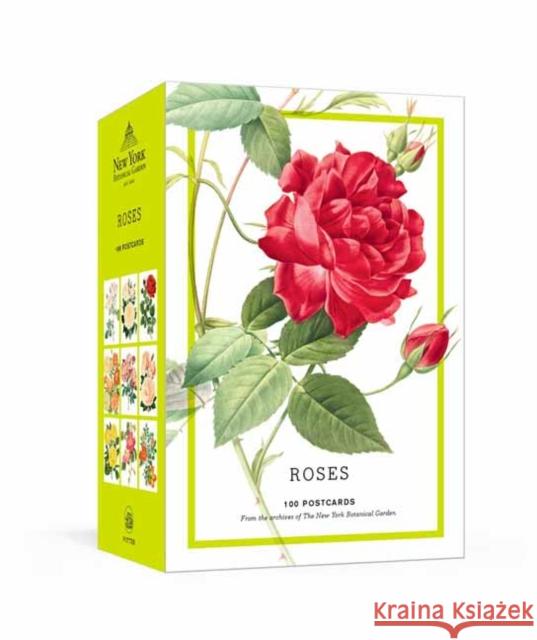 Roses: 100 Postcards from the Archives of The New York Botanical Garden The New York Botanical Garden 9781524759117 Clarkson Potter Publishers