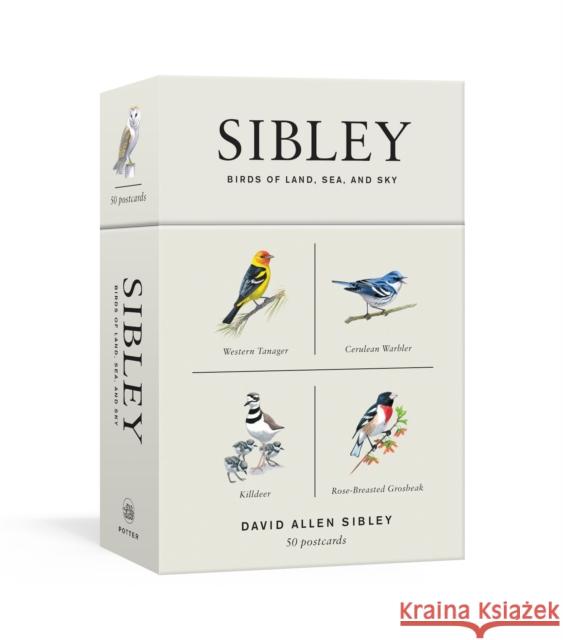 Sibley Birds of Land, Sea, and Sky: 50 Postcards Sibley, David Allen 9781524761820 Clarkson Potter Publishers