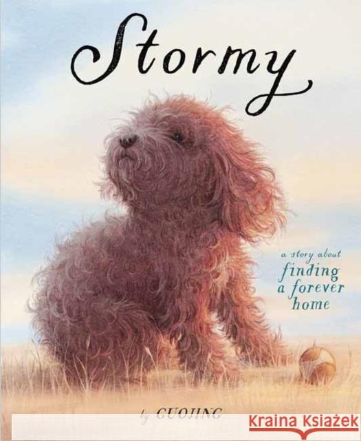 Stormy: A Story about Finding a Forever Home Guojing 9781524771768