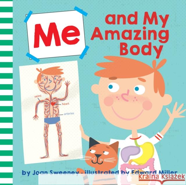 Me and My Amazing Body Joan Sweeney Ed Miller 9781524773595 Alfred A. Knopf Books for Young Readers