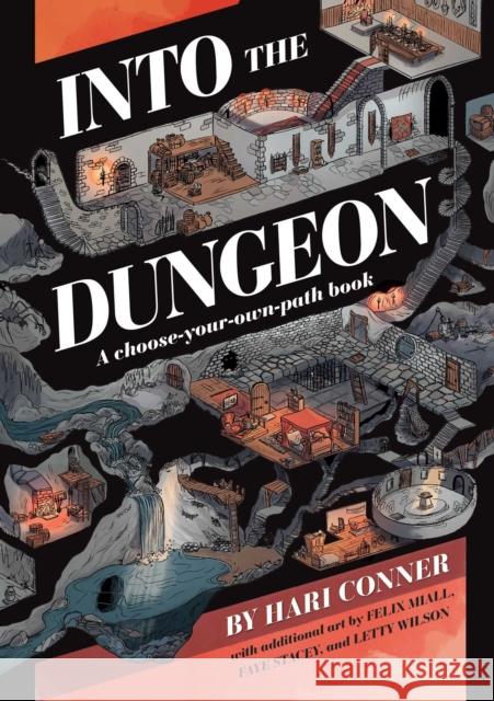 Into the Dungeon: A Choose-Your-Own-Path Book Hari Conner 9781524861704 Andrews McMeel Publishing