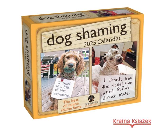 Dog Shaming 2025 Day-to-Day Calendar dogshaming.com 9781524890766 Andrews McMeel Publishing