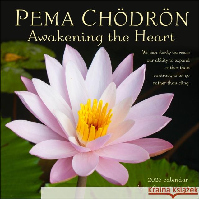 Pema Chodron 2025 Wall Calendar: Awakening the Heart—A Year of Inspirational Quotes Amber Lotus Publishing 9781524891114 Amber Lotus Publishing
