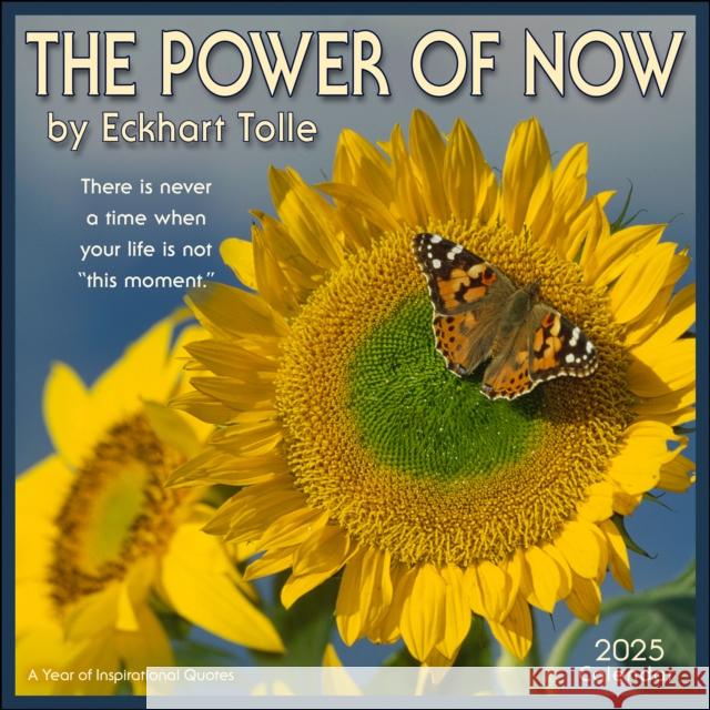 The Power of Now 2025 Wall Calendar: A Year of Inspirational Quotes Amber Lotus Publishing 9781524891138 Amber Lotus Publishing