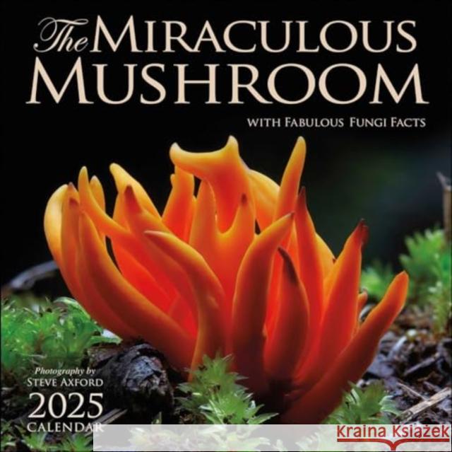 The Miraculous Mushroom 2025 Wall Calendar: With Fabulous Fungi Facts Amber Lotus Publishing 9781524892111 Amber Lotus Publishing