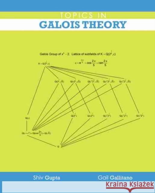 Topics in Galois Theory Gallitano-Gupta 9781524960247 Kendall Hunt Publishing Company