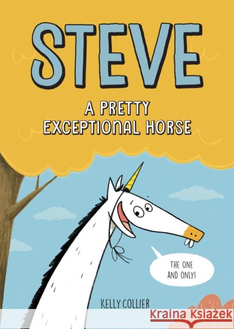 Steve, A Pretty Exceptional Horse Kelly Collier 9781525312991 Kids Can Press